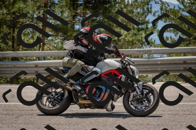 202508091323-DSC_3112_c4_