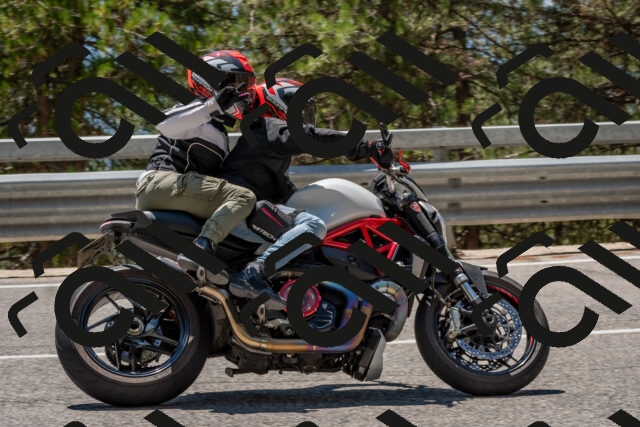 202508091323-DSC_3113_c4_