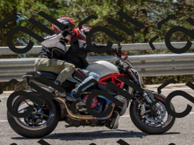 202508091323-DSC_3113_c4_