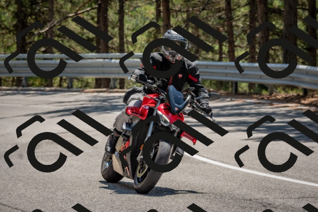 202508091324-DSC_3119_c4_