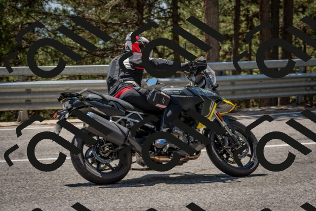 202508091324-DSC_3124_c4_