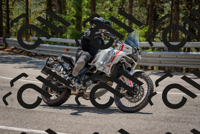 202508091324-DSC_3126_c4_