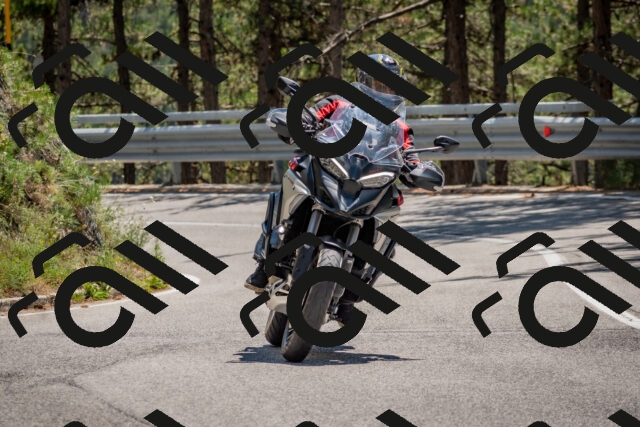 202508091324-DSC_3128_c4_