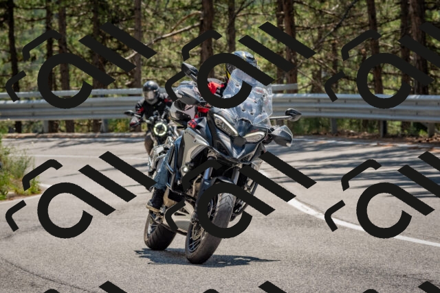 202508091324-DSC_3129_c4_