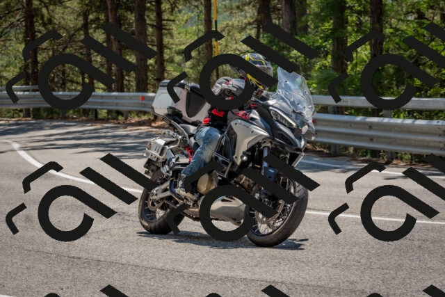 202508091324-DSC_3130_c4_