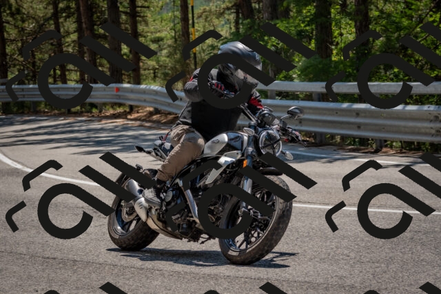 202508091324-DSC_3132_c4_