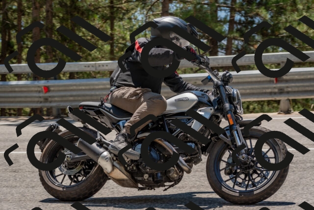 202508091324-DSC_3133_c4_