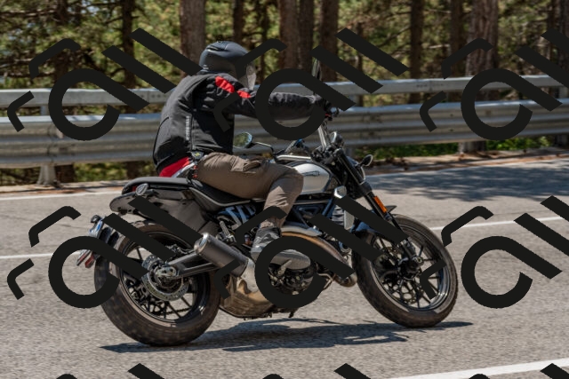 202508091324-DSC_3134_c4_