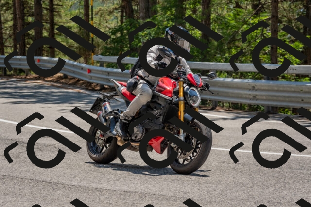 202508091326-DSC_3137_c4_