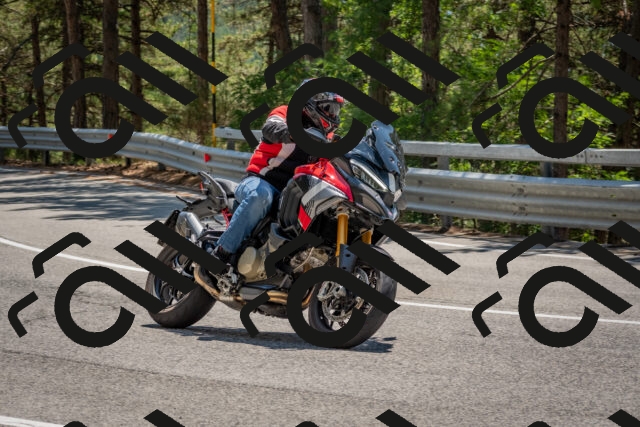 202508091326-DSC_3139_c4_