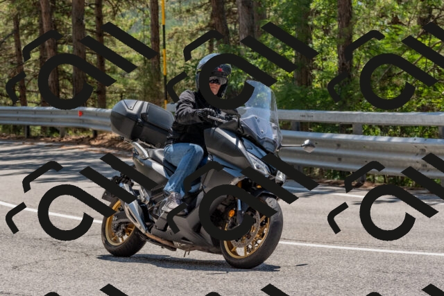 202508091326-DSC_3141_c4_