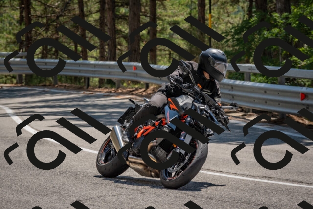 202508091335-DSC_3144_c4_