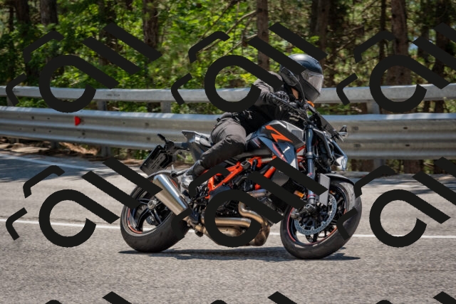 202508091335-DSC_3145_c4_