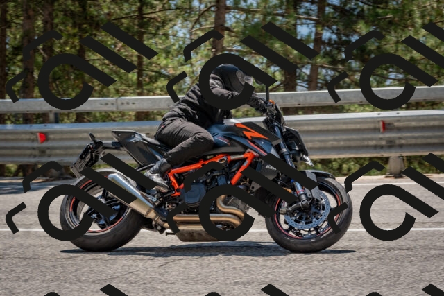 202508091335-DSC_3146_c4_