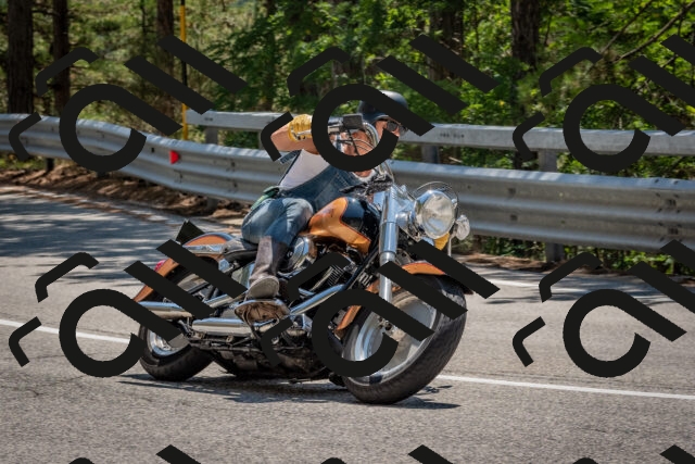 202508091335-DSC_3149_c4_