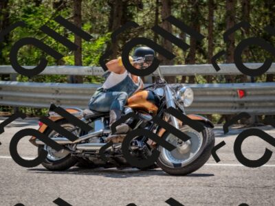 202508091335-DSC_3150_c4_