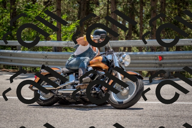 202508091335-DSC_3150_c4_