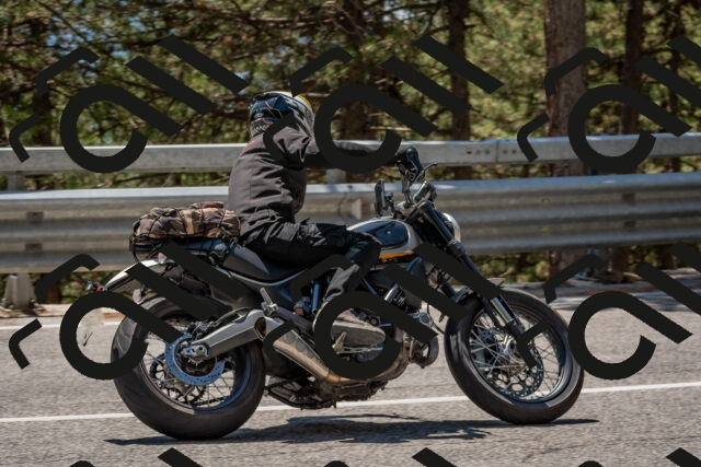 202508091335-DSC_3154_c4_