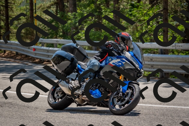 202508091335-DSC_3155_c4_