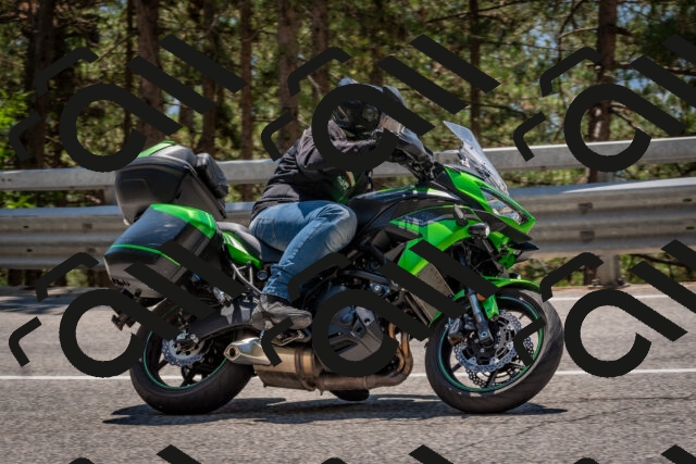 202508091336-DSC_3159_c4_