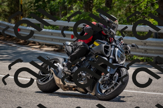 202508091336-DSC_3161_c4_