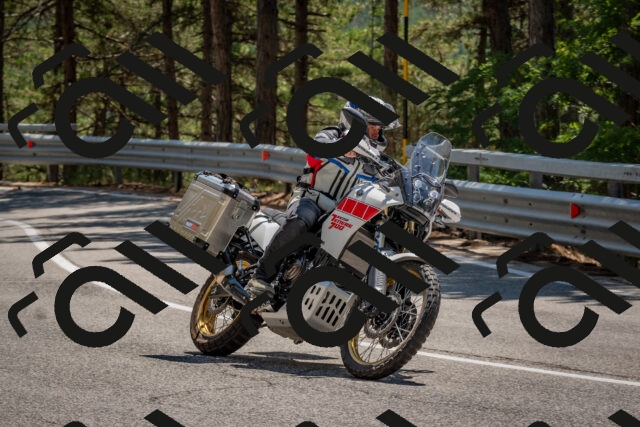 202508091336-DSC_3165_c4_