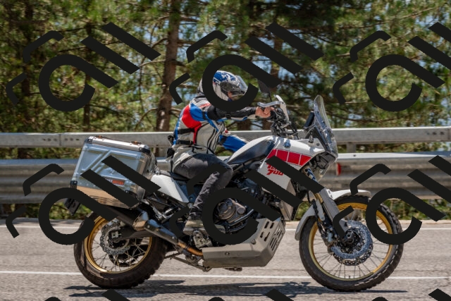 202508091336-DSC_3166_c4_