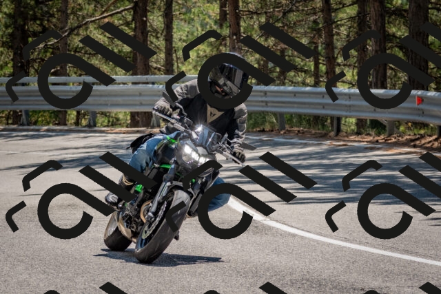 202508091336-DSC_3168_c4_