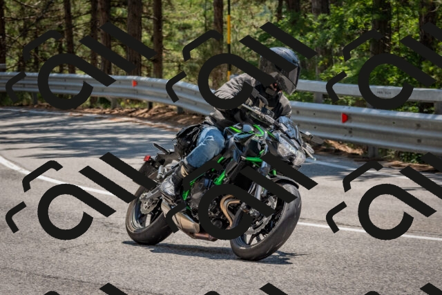 202508091336-DSC_3169_c4_