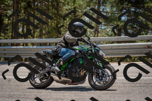 202508091336-DSC_3170_c4_