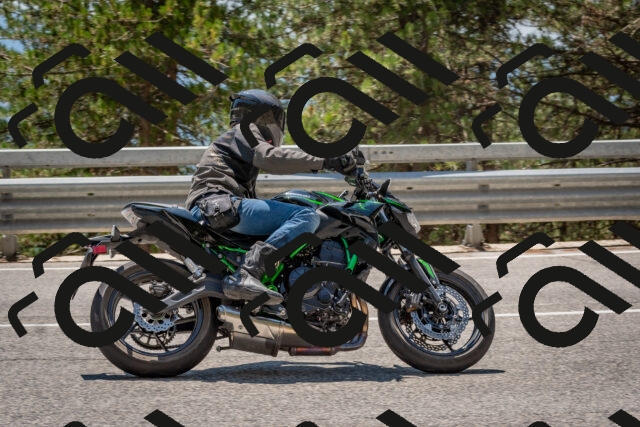 202508091336-DSC_3171_c4_