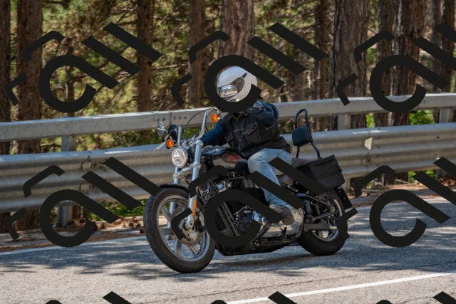 202508091338-DSC_3172_c4_