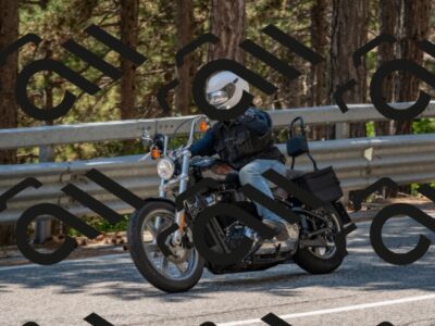 202508091338-DSC_3172_c4_