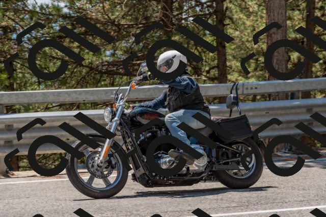 202508091338-DSC_3173_c4_