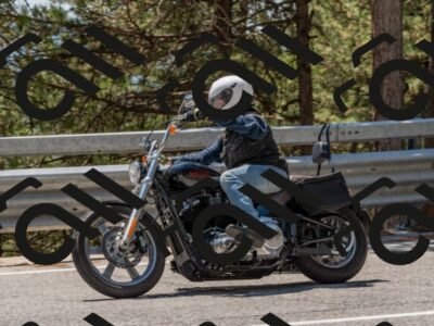 202508091338-DSC_3173_c4_