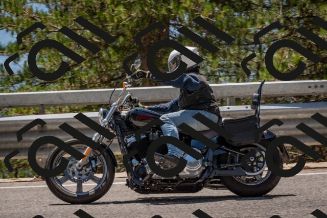 202508091338-DSC_3174_c4_