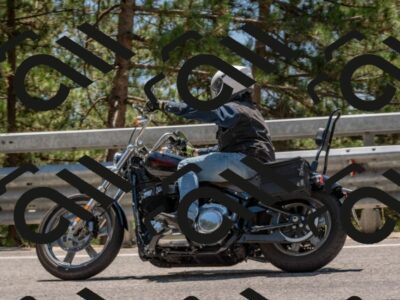 202508091338-DSC_3175_c4_