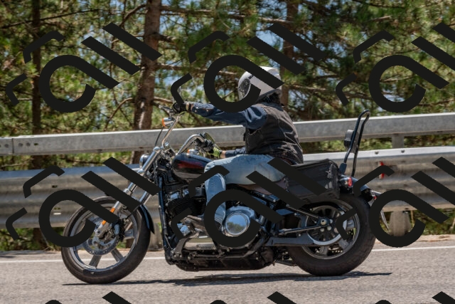 202508091338-DSC_3175_c4_