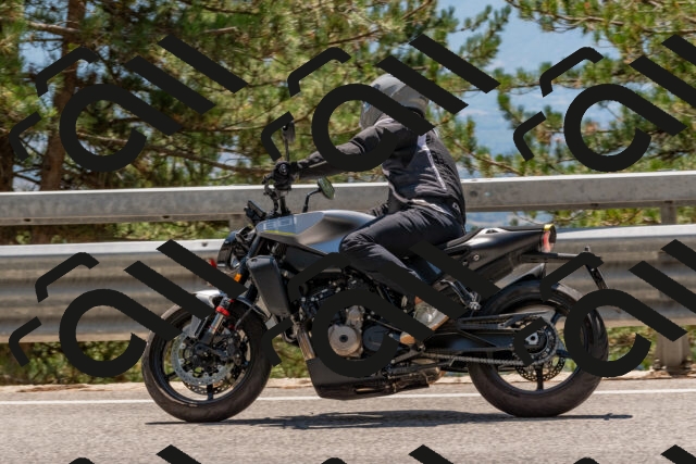 202508091338-DSC_3178_c4_