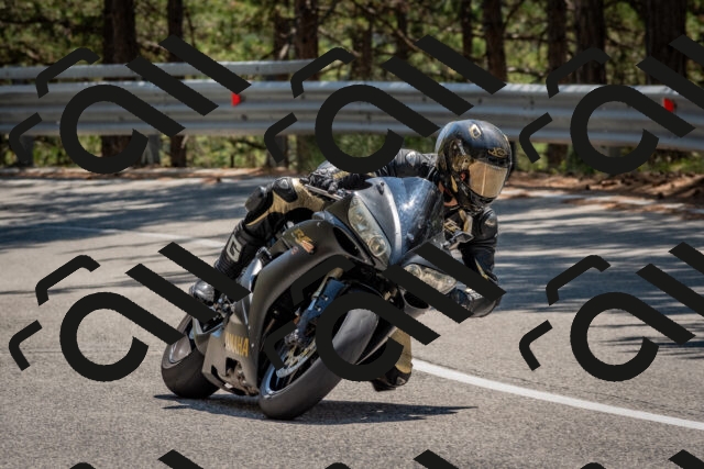 202508091344-DSC_3180_c4_