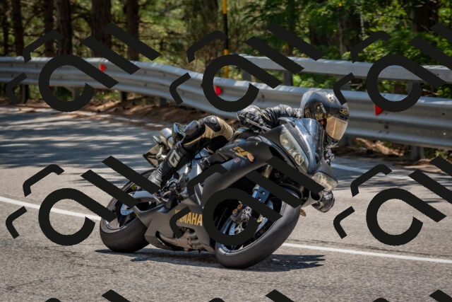 202508091344-DSC_3181_c4_