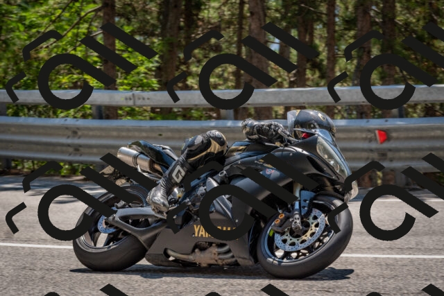 202508091344-DSC_3182_c4_