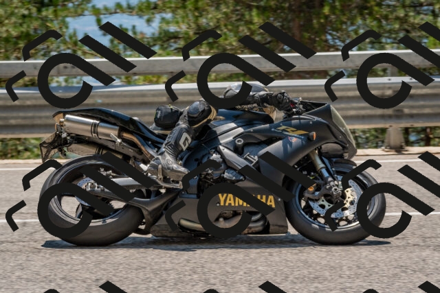 202508091344-DSC_3183_c4_