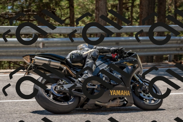 202508091344-DSC_3184_c4_