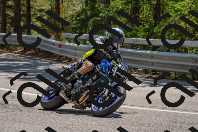 202508091345-DSC_3187_c4_