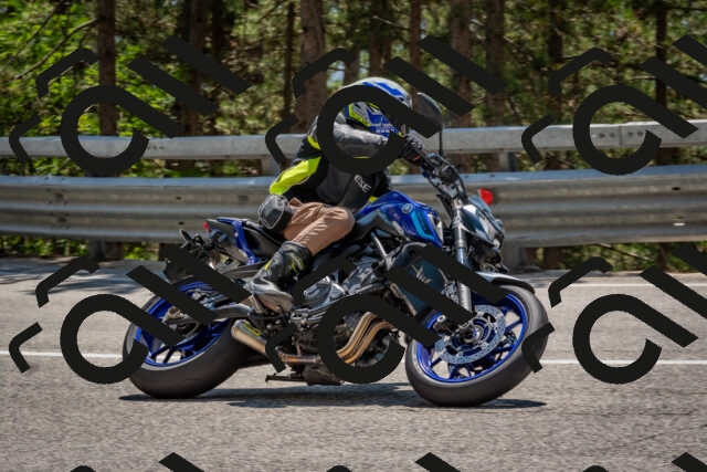 202508091345-DSC_3188_c4_