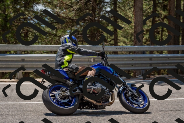 202508091345-DSC_3190_c4_