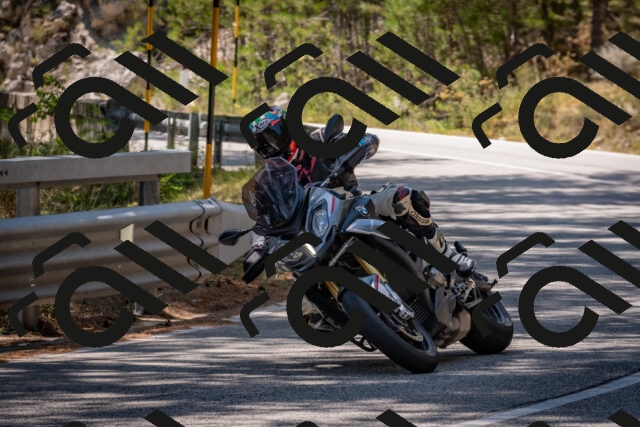 202508091348-DSC_3191_c4_