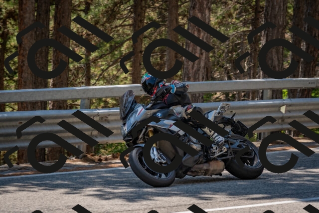 202508091348-DSC_3193_c4_