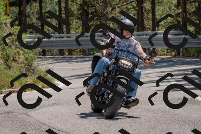 202508091350-DSC_3200_c4_